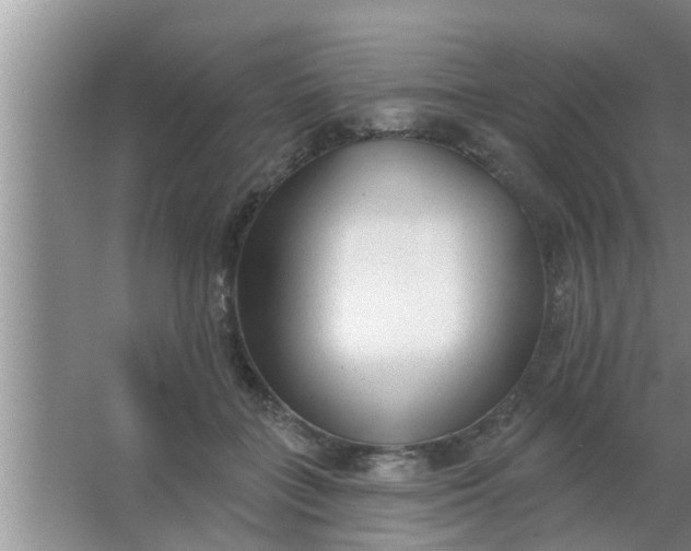 X0000063490555200602031954