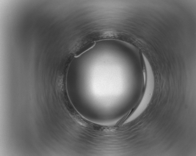 X0000063490560200602031954