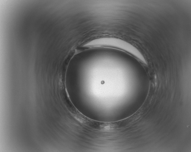 X0000063490564200602031954