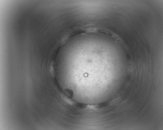 X0000063490573200602031954