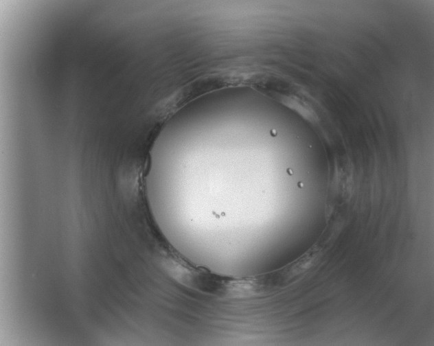 X0000063490574200602031954