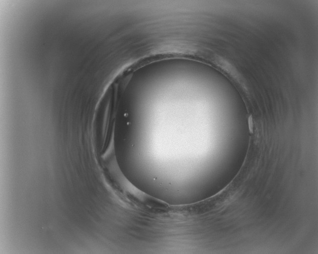 X0000063490580200602031954