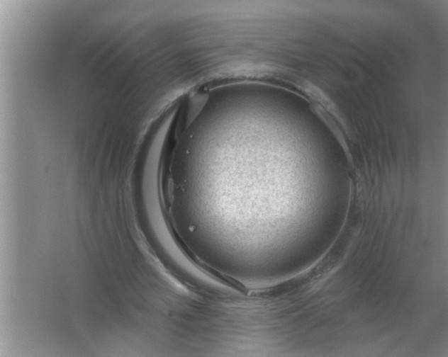 X0000063490581200602031954