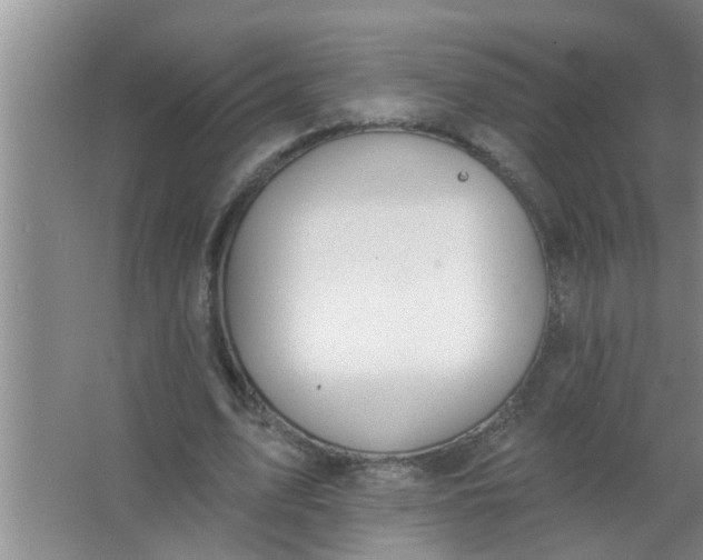 X0000063490583200602031954