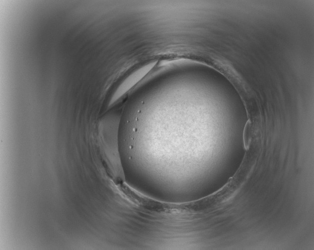 X0000063490585200602031954