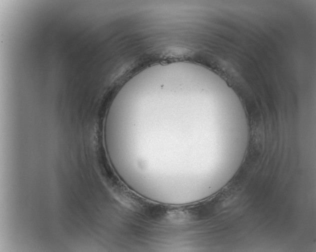 X0000063490591200602031953