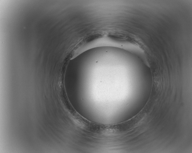 X0000063490593200602031953