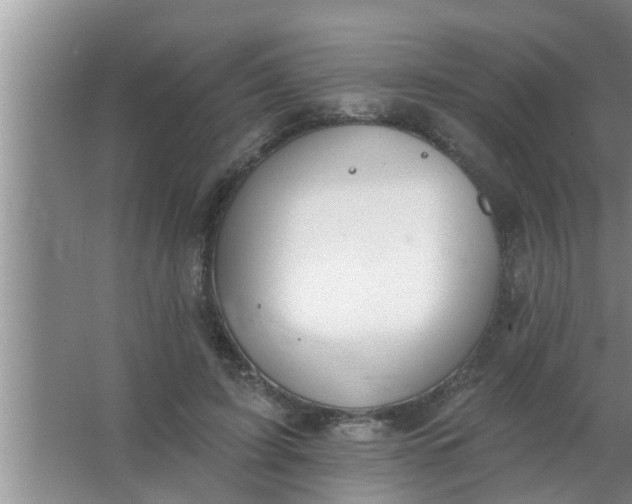 X0000063490595200602031953