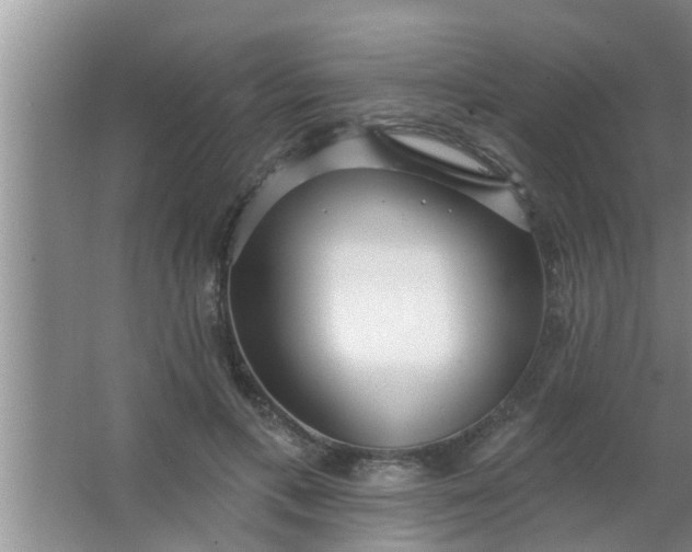 X0000063490597200602031953