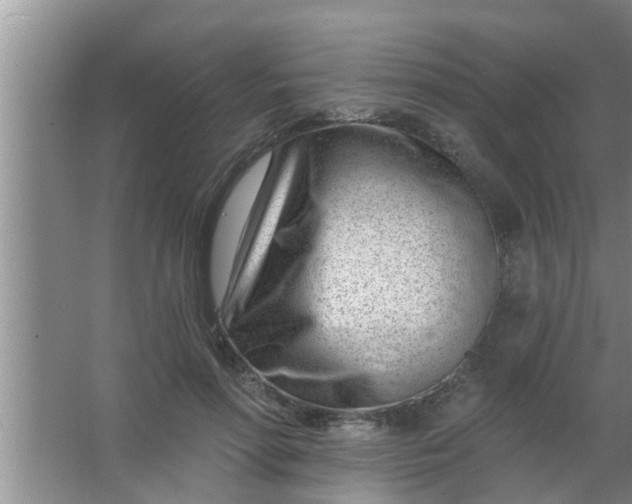 X0000063490598200602031953