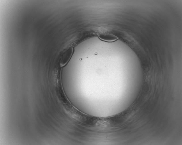 X0000063490599200602031953