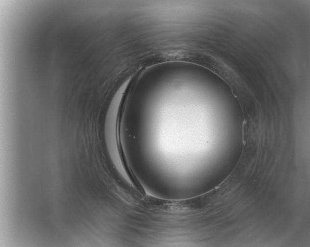 X0000063490601200602031953