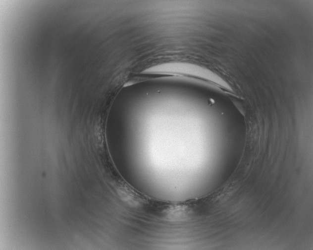 X0000063490609200602031953