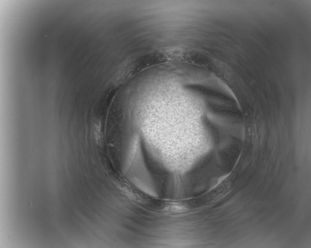 X0000063490610200602031953