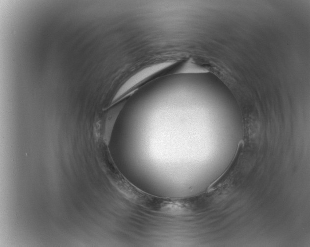 X0000063490611200602031953