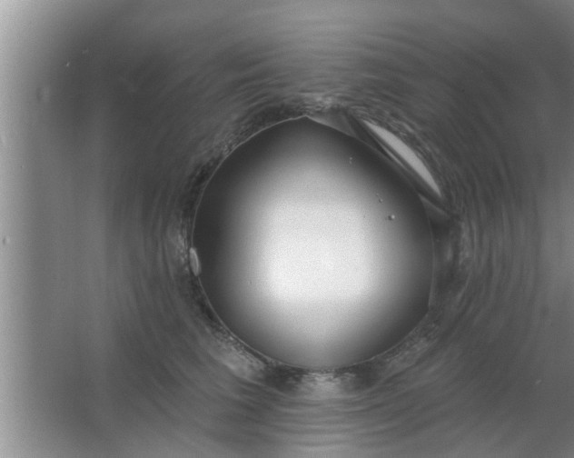 X0000063490613200602031953