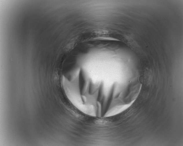 X0000063490614200602031953