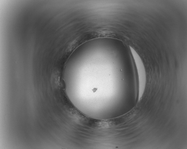 X0000063490615200602031953