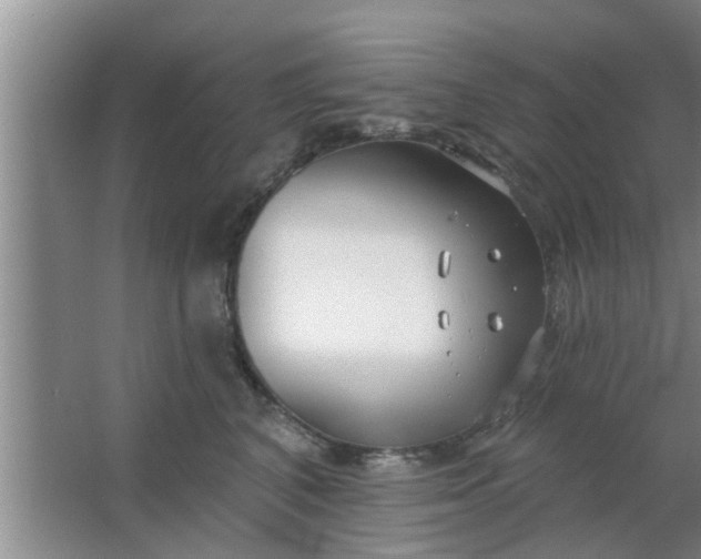 X0000063490616200602031953