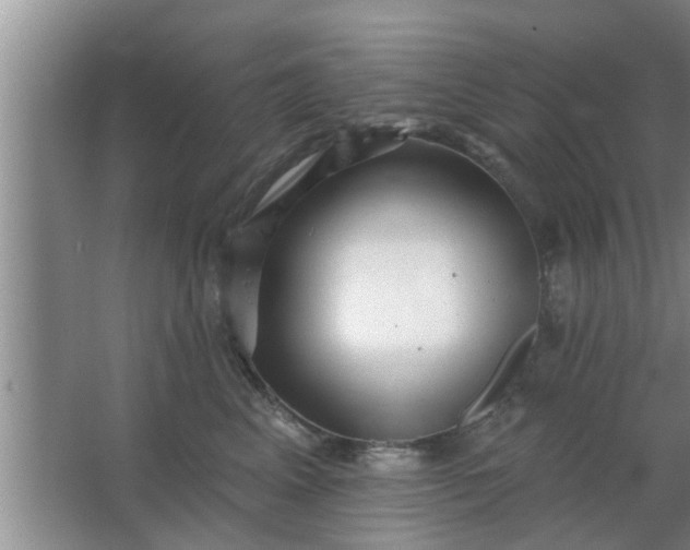 X0000063490617200602031953