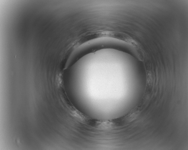 X0000063490621200602031953