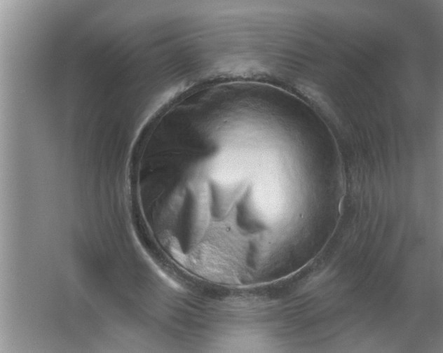 X0000063490630200602031952