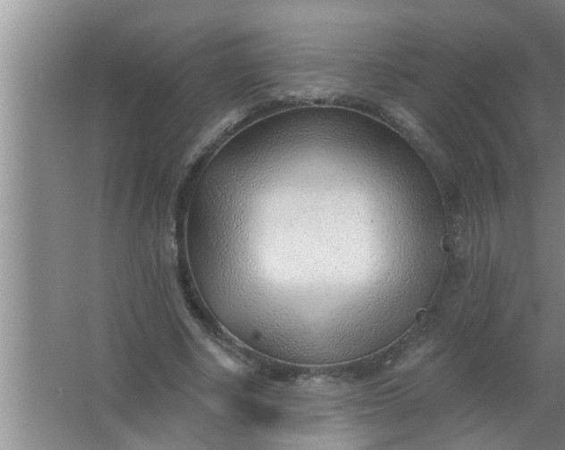 X0000063490634200602031952