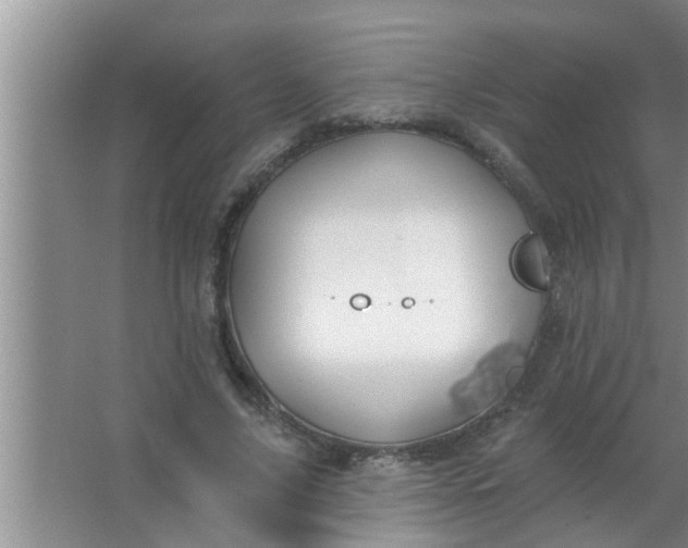 X0000063490635200602031952