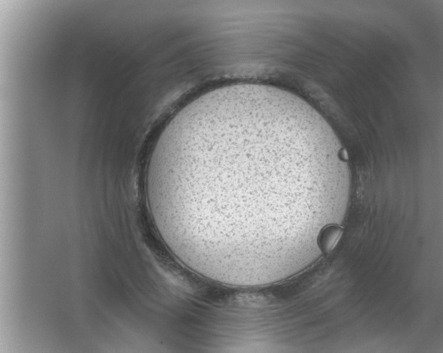 X0000063490636200602031952