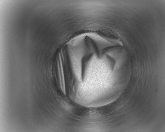 X0000063490641200602031952