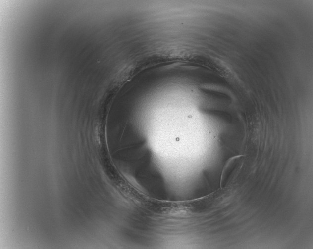 X0000063490643200602031952