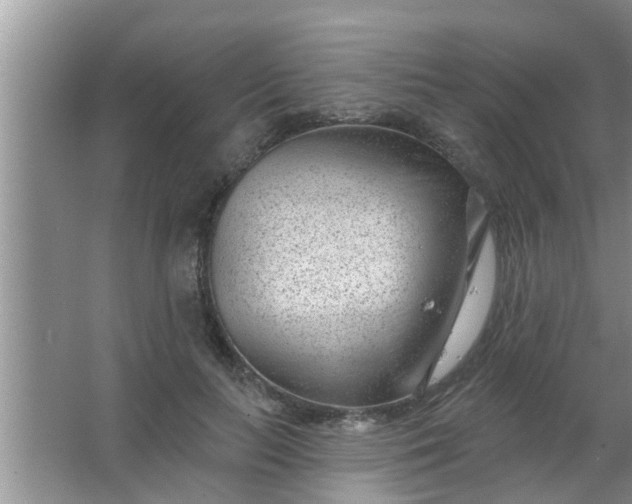 X0000063490647200602031952