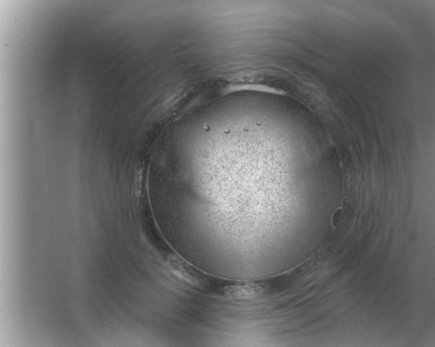 X0000063490652200602031953