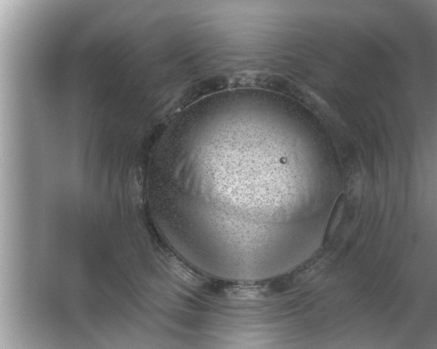 X0000063490661200602031953