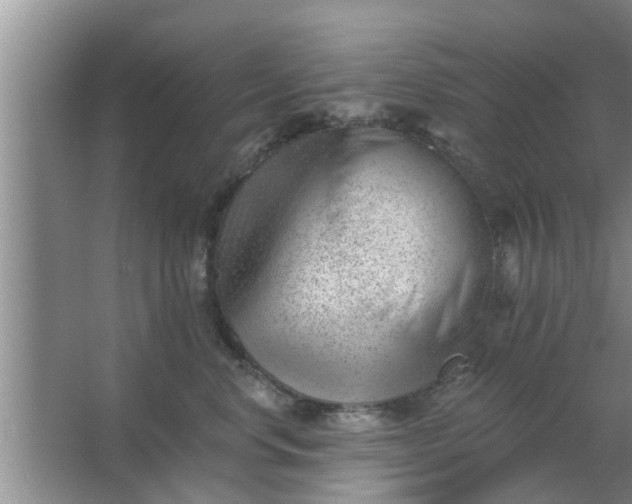 X0000063490668200602031953