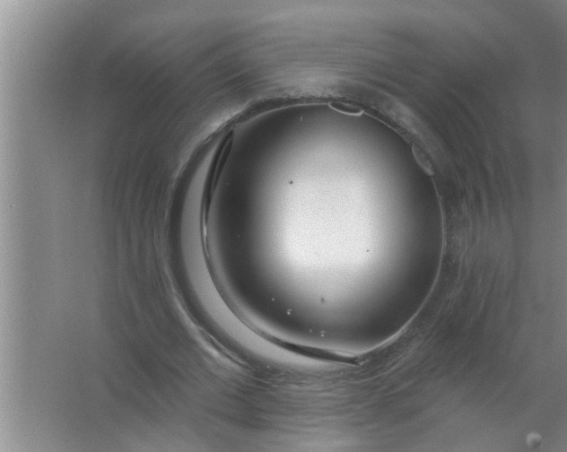 X0000063490677200602031952