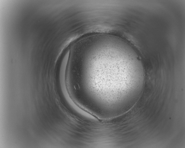 X0000063490679200602031952