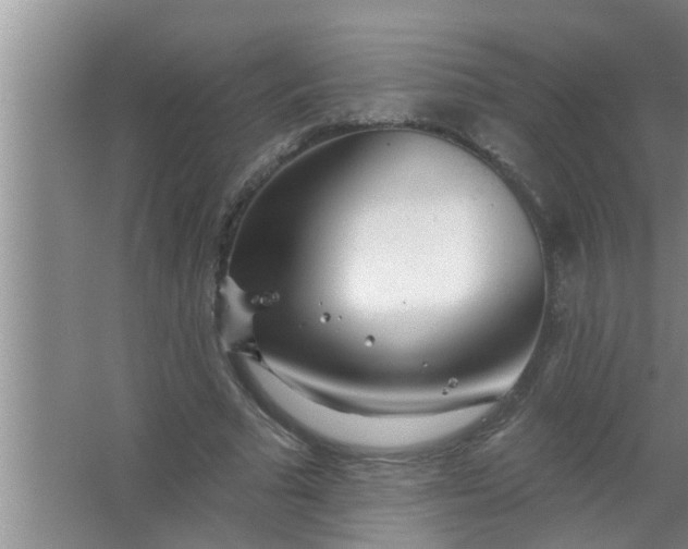 X0000063490681200602031952