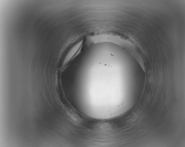 X0000063490685200602031952