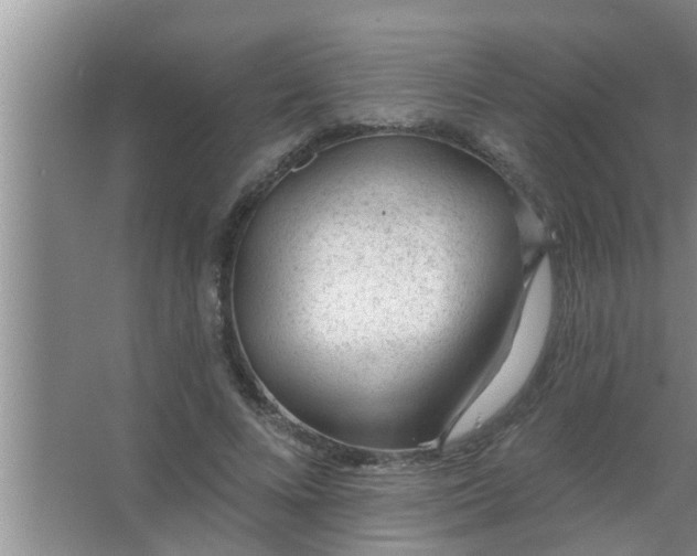 X0000063490688200602031952