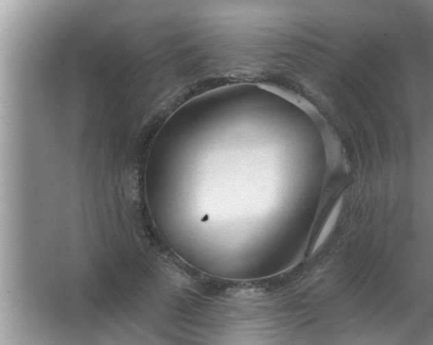 X0000063490689200602031952