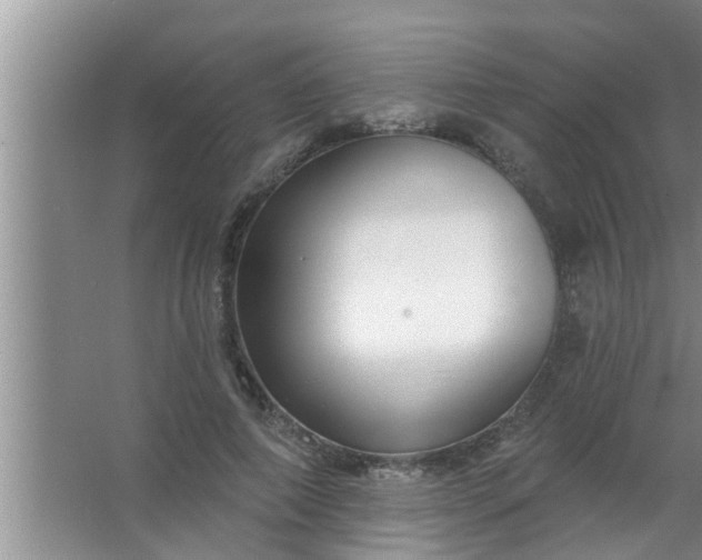 X0000063490690200602031952