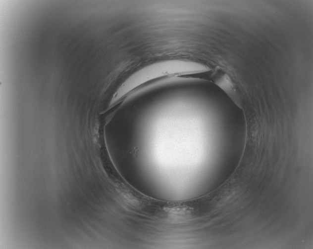 X0000063490693200602031952