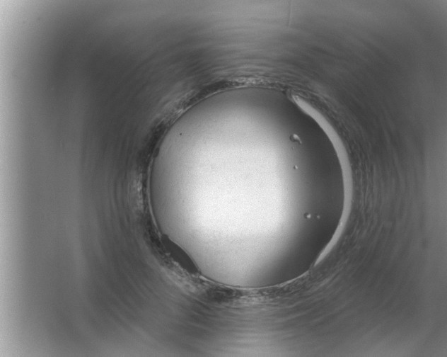 X0000063490696200602031952