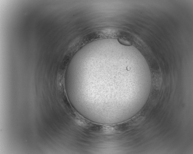 X0000063490701200602031952