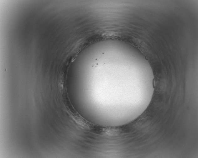 X0000063490710200602031951