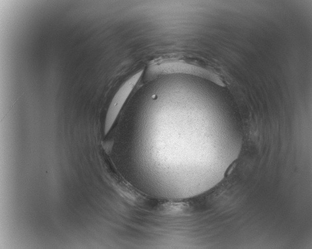 X0000063490711200602031951