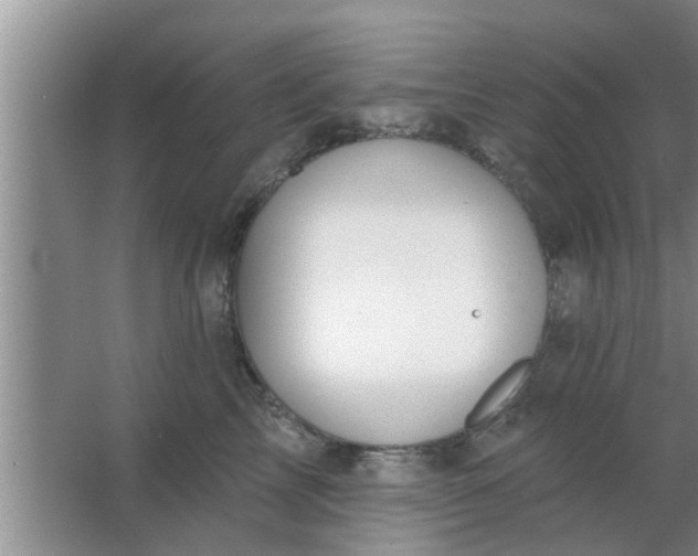 X0000063490713200602031951