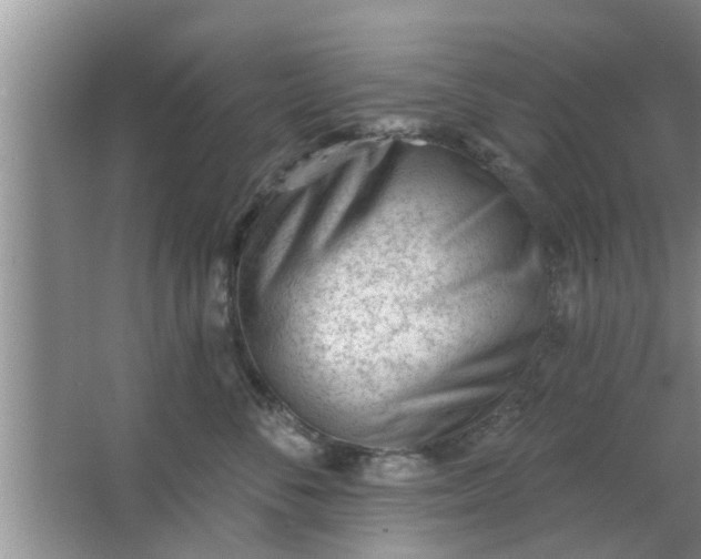 X0000063490716200602031951