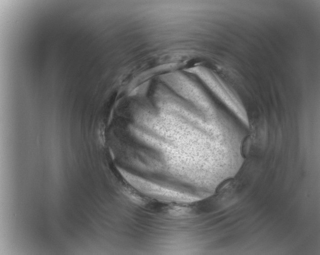 X0000063490718200602031951